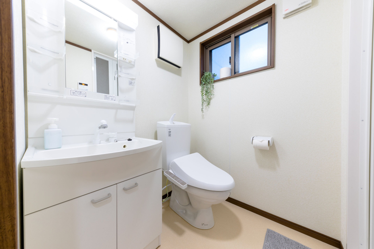 Bathroom 3, Dio, Fujikawaguchiko
