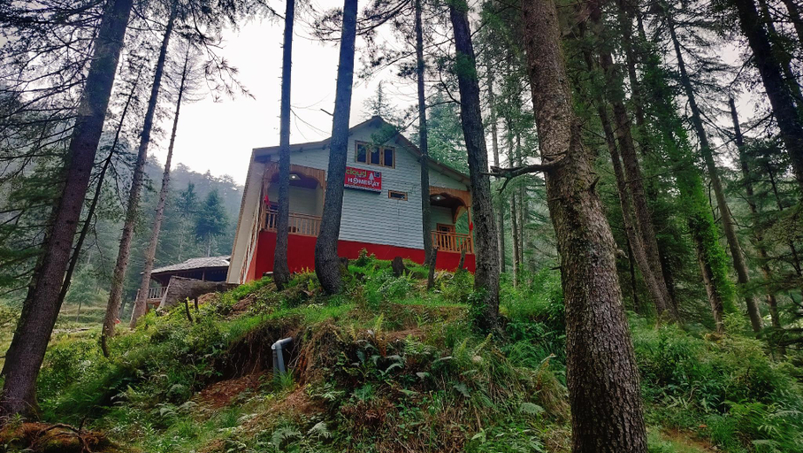 Others 4, Cloud Culture Forest, Chamba