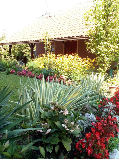 Exterior & Views 5, Guest House Isidora, Arilje