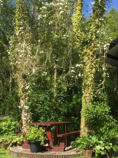 Others 3, Local accommodation for motocycle off-road centres, Neath Port Talbot