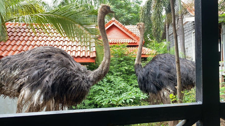 3, Denen Resort&minizoo, Muang Khon Kaen