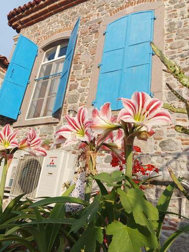 Exterior & Views 1, Bergama TAŞKONAK, Bergama