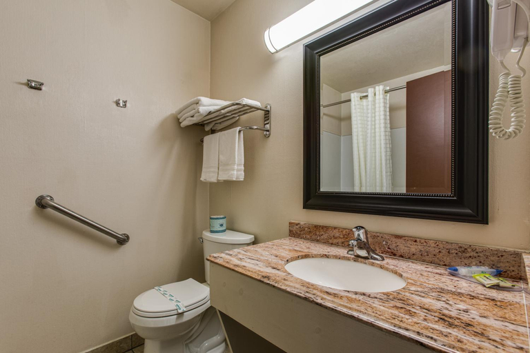 Bathroom 3, Coachman Inn, Whatcom