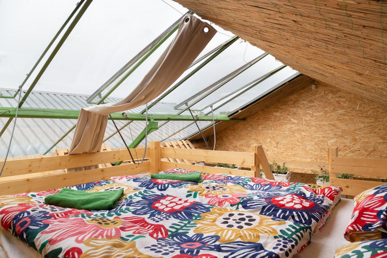 Others 4, Rastlinky.sk Greenhouse Guestrooms, Bratislava