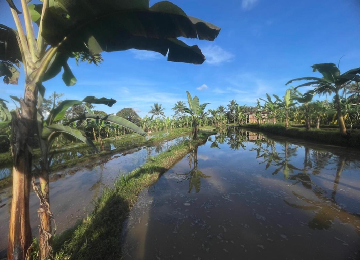 Others 3, Opik Homestay Tete Batu, Lombok