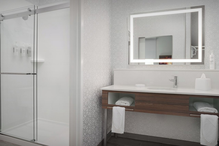 Bathroom 4, Hampton Inn & Suites Naples South, Collier