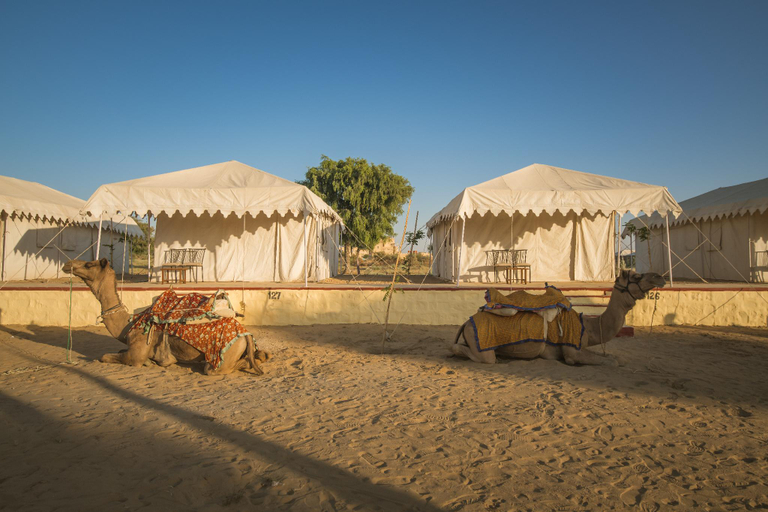 Others 3, Royal Pavilion Camps by ShriGo Hotels, Jaisalmer