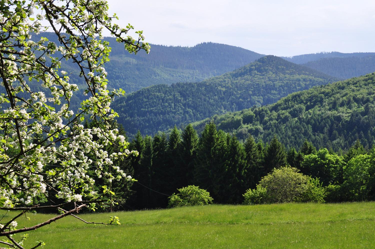 Others 3, Gite Rammelstein, Haut-Rhin