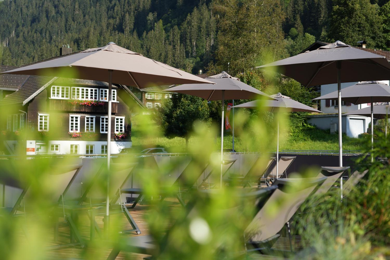 Others 5, Hotel Bergkristall, Bludenz
