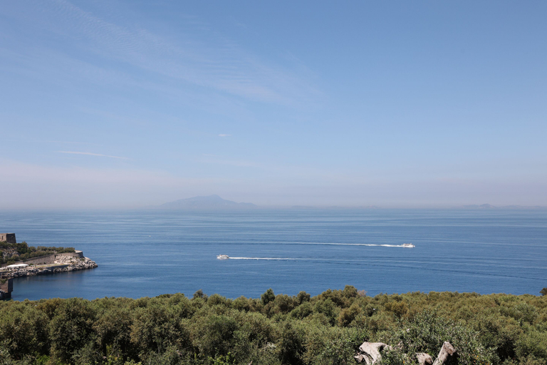 Others 5, Villa Puolo Sorrento, Napoli