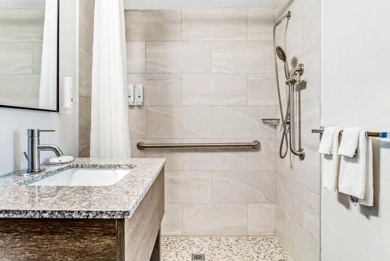 Bathroom 4, Quality Inn Detroit Downtown, Wayne