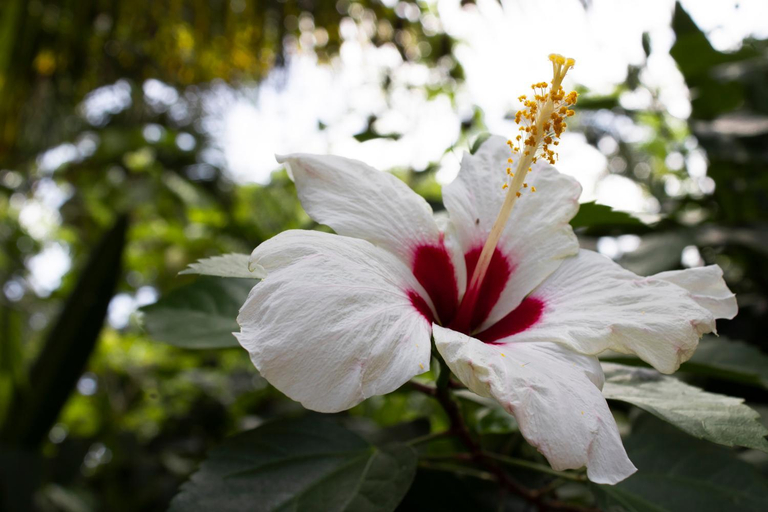 Others 3, WAYANAY TAYRONA ECO HOSTEL, Santa Marta (Dist. Esp.)