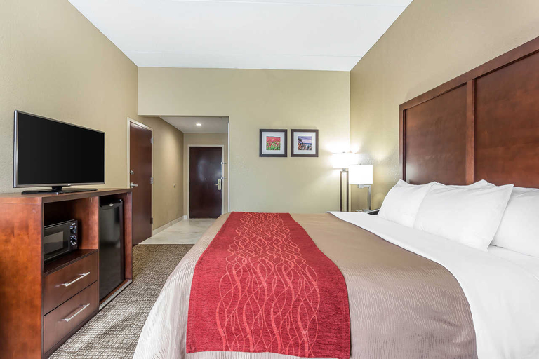 Bedroom 3, Comfort Inn & Suites Mocksville I-40, Davie