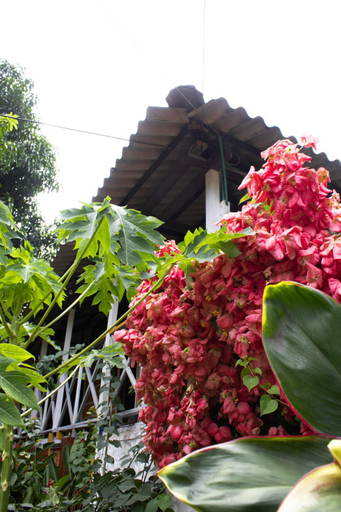 Others 4, WAYANAY TAYRONA ECO HOSTEL, Santa Marta (Dist. Esp.)