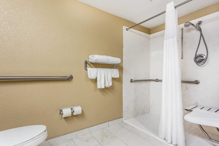 Bathroom 4, Comfort Inn & Suites Mocksville I-40, Davie