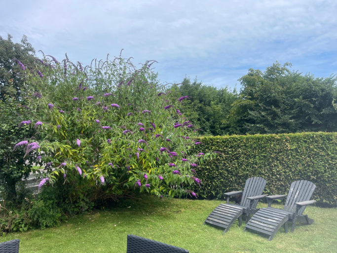 Others 3, Heidis Residence-Sandkaas, Bornholm, Bornholm