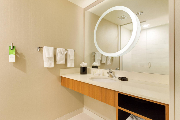 Bathroom 4, SpringHill Suites by Marriott McAllen Convention Center, Hidalgo