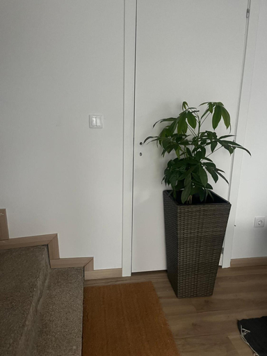 Others 5, Friend's House, Maia