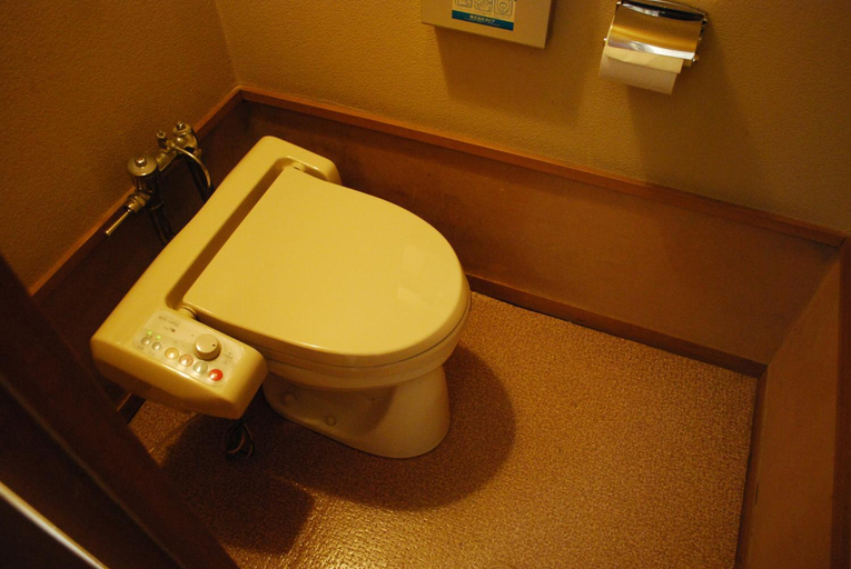 Bathroom 4, Ryokan Tanigawa, Minakami