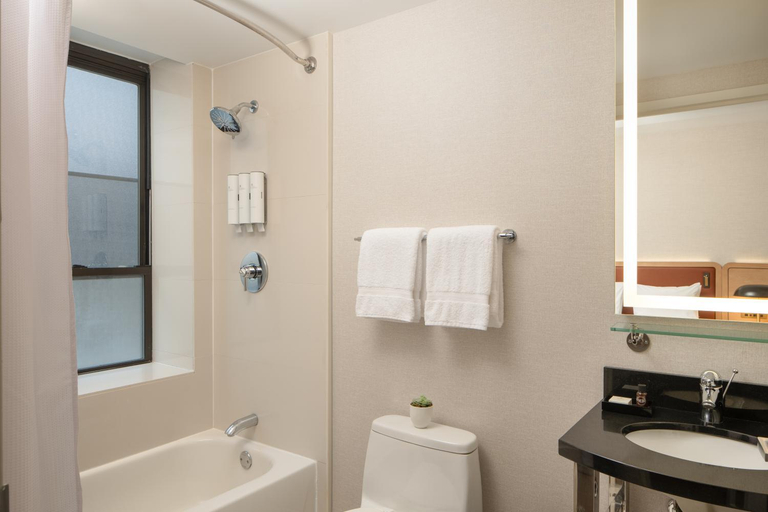 Bathroom 4, Aura Hotel Times Square, New York