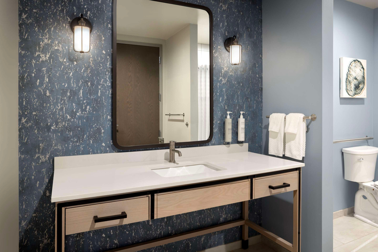 Bathroom 5, Embassy Suites By Hilton Bowling Green, Warren