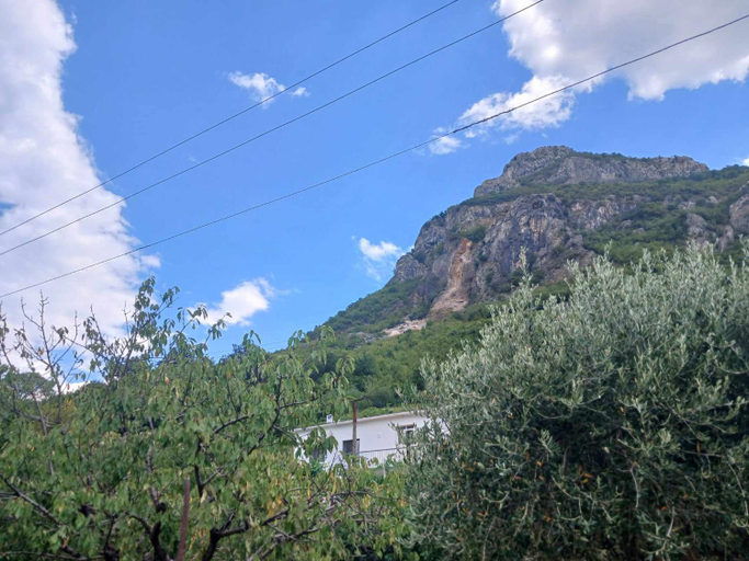 Others 5, Bujtina Dalmacia, Shkodrës