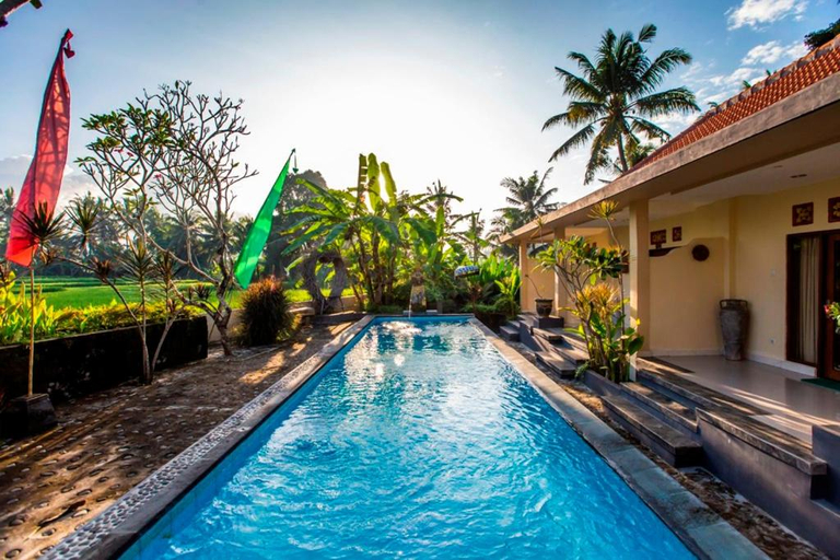 Swimming Pool 2