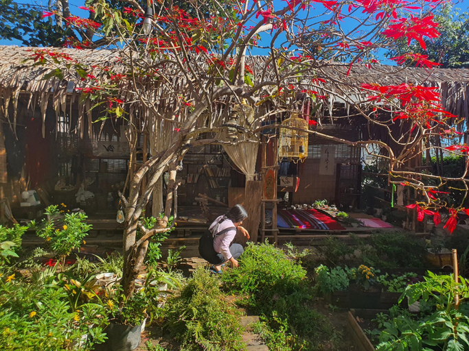 Public Area 2, Chậm Homestay Đà Lạt, Đà Lạt