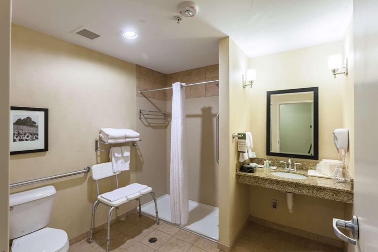 Bathroom 4, Comfort Suites East Lincoln, Lancaster