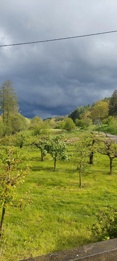 Surrounding environment 3, Farm Stay Ivankotovi, Ilirska Bistrica