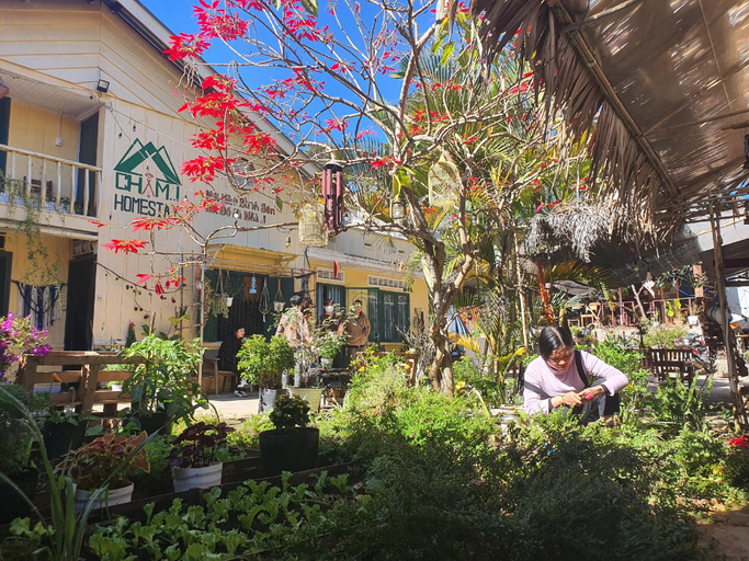 Others 5, Chậm Homestay Đà Lạt, Đà Lạt