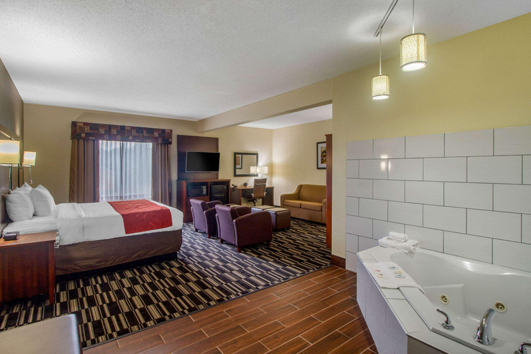 Bathroom 4, Comfort Suites (Danville), Boyle