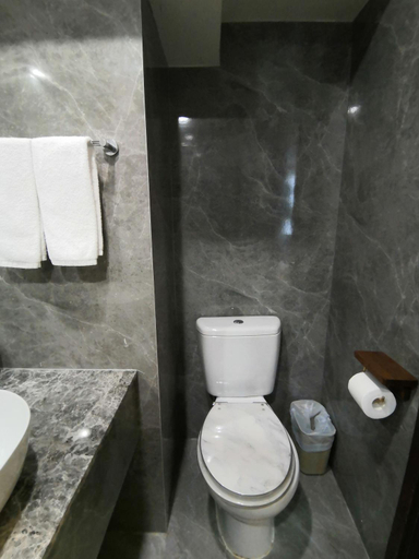 Bathroom 3, Hennessy Hotel, Hong Kong Island