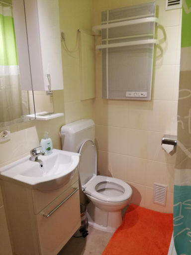 Bathroom, Orchidea apartman, Siklósi
