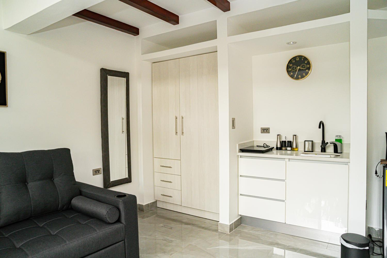 Others 4, home 333 loft 334, Escazú