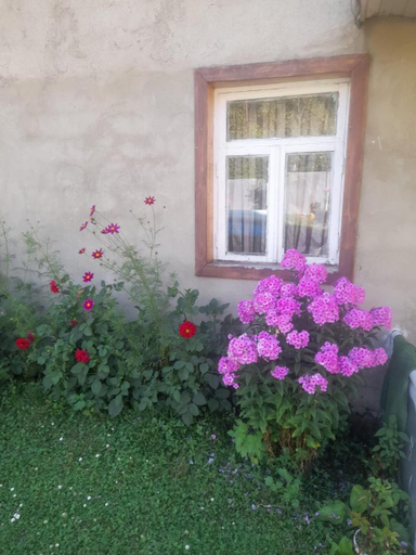 Others 4, Guesthouse ''Kavkasioni'', Oni