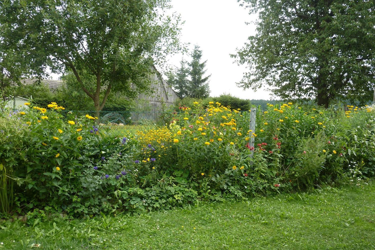Others 3, Gertis Blumenhof Privatzimmer, Ferienwohnung, Gmünd