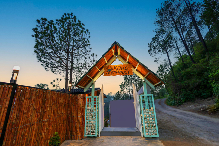 Others 5, Koro Treehouse Resort, Solan