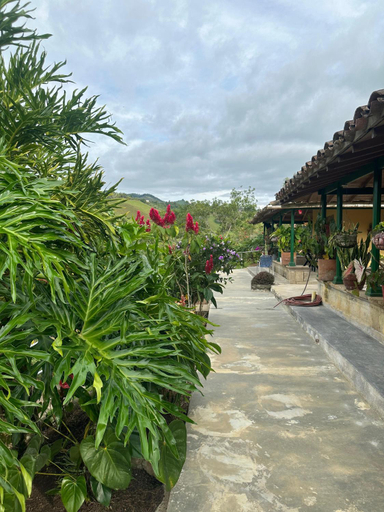 Exterior & Views 3, Villa Alicia Finca hotel, Frontino