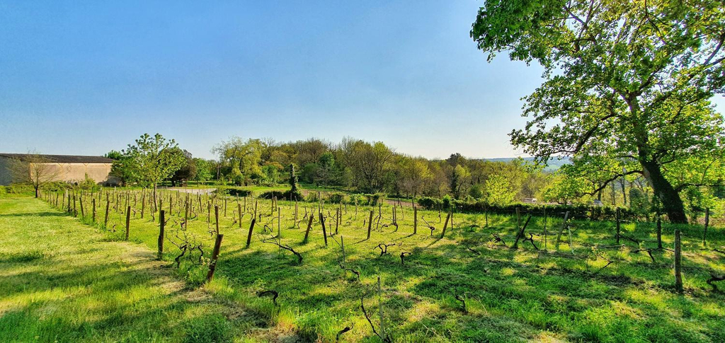 Others 5, Coquelicot - Suite Familiale, Dordogne