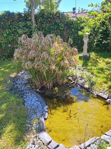 Others 5, La maison de Caroline, Charente-Maritime