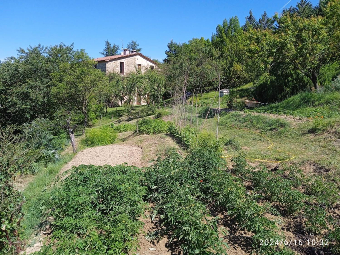 Others 3, La Fonte b&b, Perugia