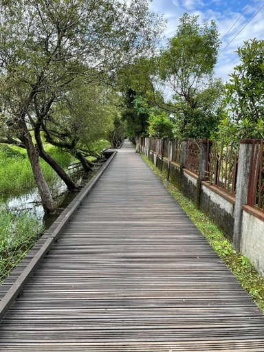 Others 5, WaterForest, Yilan