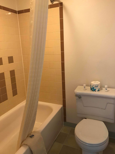 Bathroom 4, Paintbrush Motel, Fremont