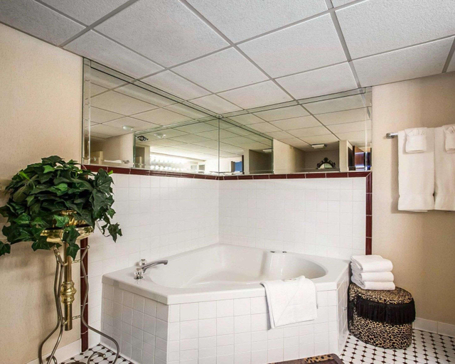 Bathroom 4, Clarion Inn Branson, Taney
