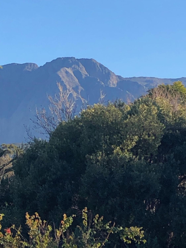 Others 5, Beckett's Bliss, Cape Winelands