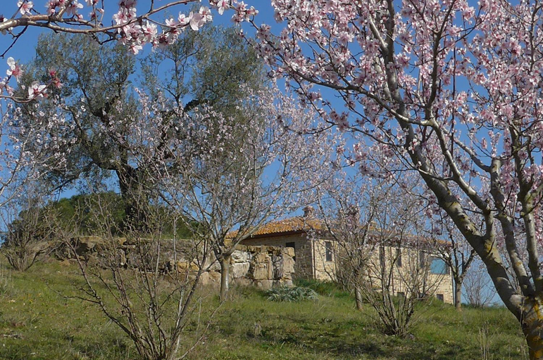 5, Agriturismo Il Sassolino, Terni