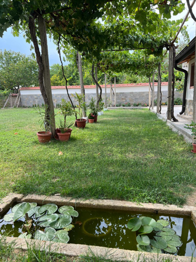 Others 5, Къща за гости Бадови, Hisar