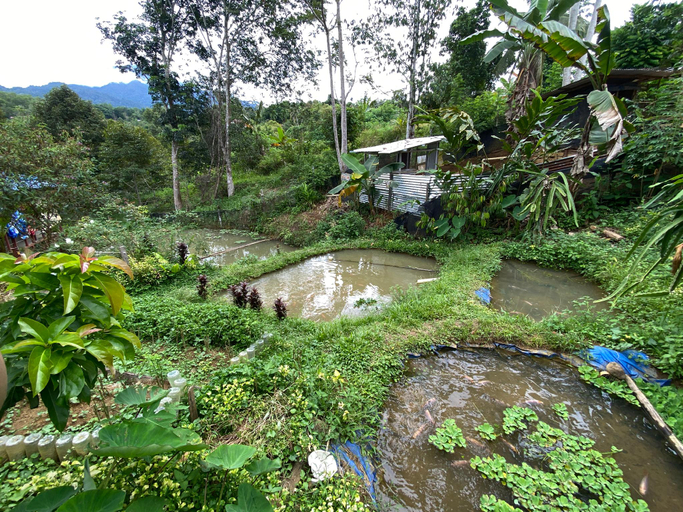 Others 3, DA Family Mini Garden, Ranau