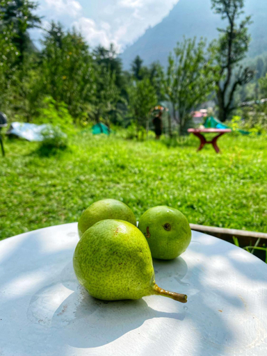 Others 5, Canvas and Coffee, Kullu